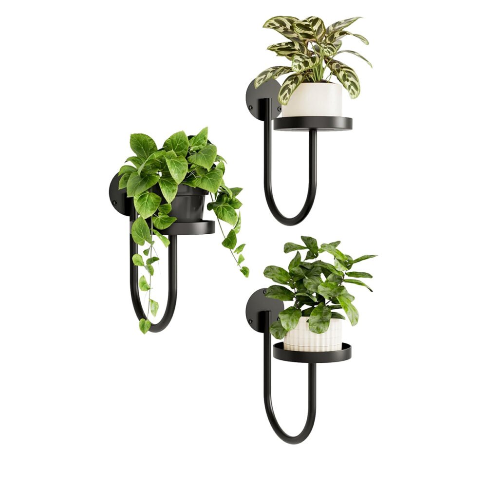 Hanging Wall Plant Holder - 3 Pcs ‍Set